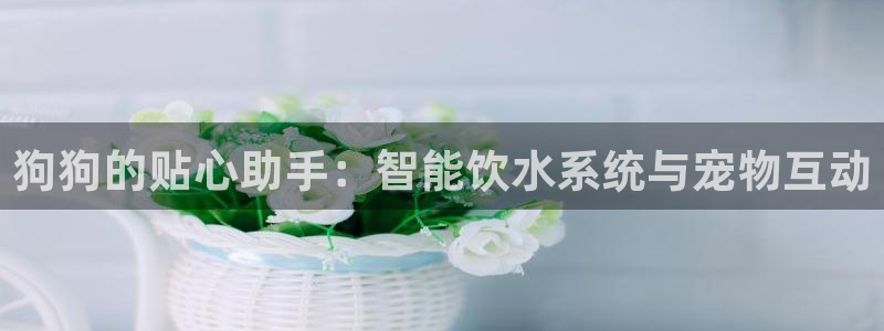 众腾娱乐app