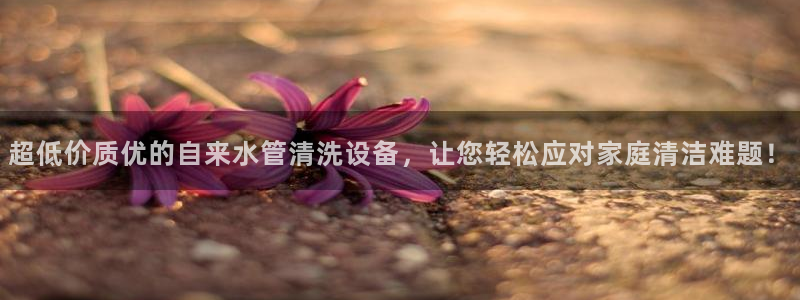 众腾娱乐文化怎么样