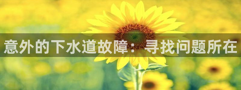 众腾娱乐邵阳