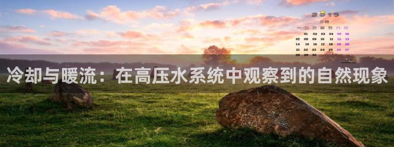众腾娱乐文化怎么样