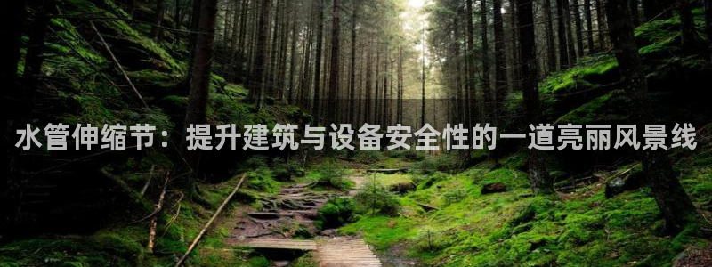 众腾娱乐登入探索无限空间