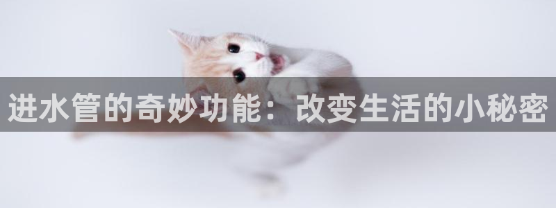 众腾娱乐总代理
