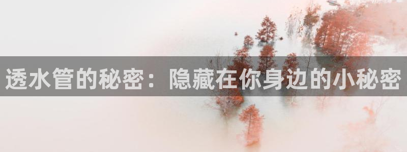 岳阳众腾ktv娱乐