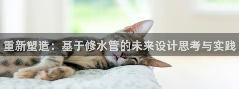 楚雄众腾娱乐