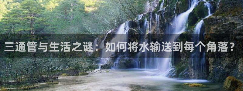 众腾娱乐平台官网入口