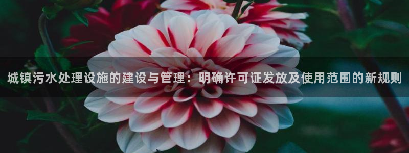 众腾娱乐集团有限公司